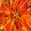 Marigold Inspiration 1